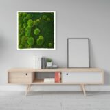 Moosbild, Wald- und Kugelmoos Verlauf, 60 x 60 cm – Bild 2