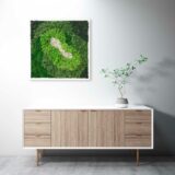 Moosbild, Island- und Kugelmoos, 60 x 60 cm – Bild 3
