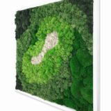 Moosbild, Island- und Kugelmoos, 60 x 60 cm – Bild 2