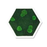 Hexagon, Wald- und Kugelmoos, 45 x 39 cm