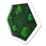 Hexagon, Wald- und Kugelmoos, 45 x 39 cm – Bild 2