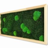 Moosbild, Wald- und Kugelmoos freie Verteilung, 60 x 30 cm – Bild 2
