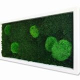 Moosbild, Wald- und Kugelmoos freie Verteilung, 60 x 30 cm – Bild 4