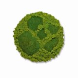 Moosbild Kugel- und Islandmoos, hellgrün, medium, Kreis DM=40cm