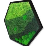 Hexagon, Island- und Kugelmoos, 60 x 52 cm – Bild 2