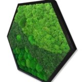Hexagon, Island- und Kugelmoos, 60 x 52 cm – Bild 4