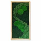 Moosbild, Wald-, Island- und Kugelmoos, 30 x 60 cm